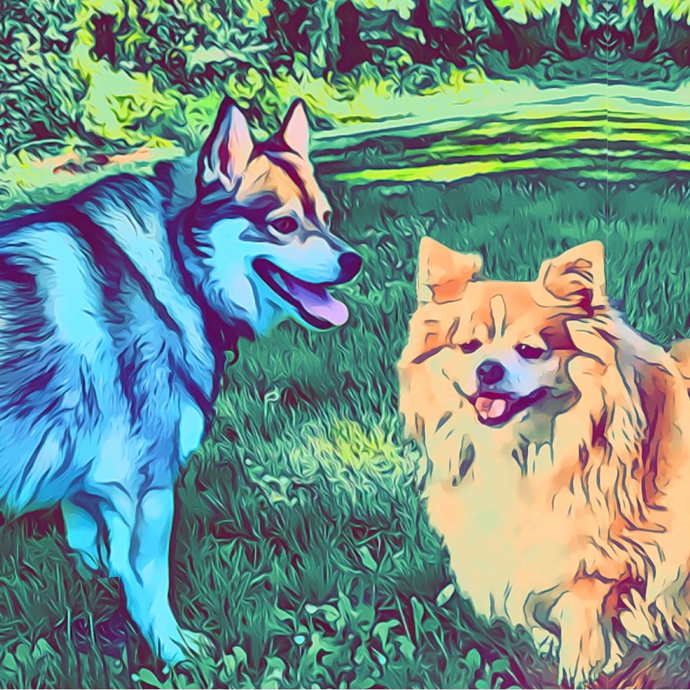 💗